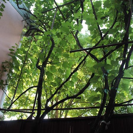 Hostel Old City Sololaki تبليسي المظهر الخارجي الصورة